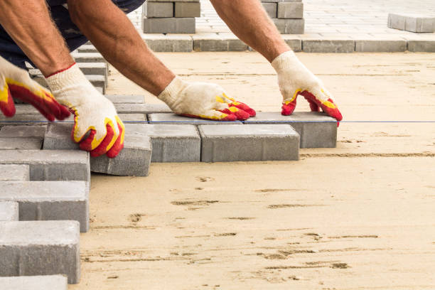 Best Residential Driveway Paver Services  in Candlewick Lake, IL