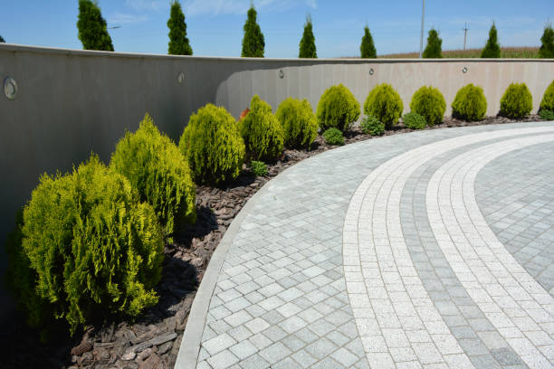 Best Custom Driveway Pavers  in Candlewick Lake, IL